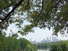 -月湖风景区
