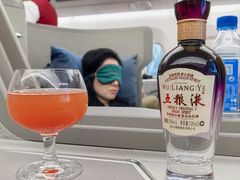 -米兰-马尔彭萨机场