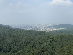 -灵顺寺