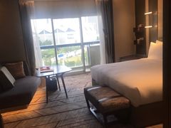 -新加坡瑞士史丹福酒店