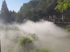 -国家植物园南园