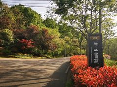 -羊山湖公园