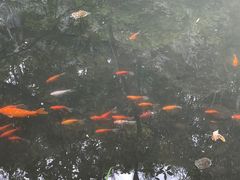 -灵顺寺