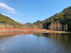 -广州市石门国家森林公园