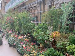 -金陵花卉交易市场