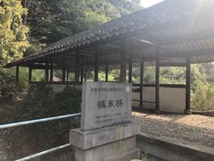 -四明山国家森林公园