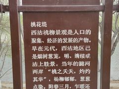 -桃花堤公园
