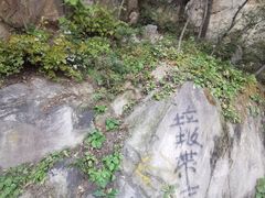 -鹫峰国家森林公园