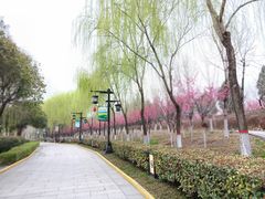 -西安汉城湖景区