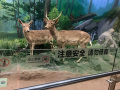 -天津自然博物馆