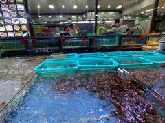 -渔傅·蓝海岸霞浦海鲜(正祥店)