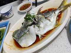清蒸石斑鱼-锦里海景海鲜餐厅.三亚老字号(亚龙湾中心广场店)