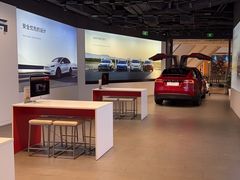 -TESLA 特斯拉(上海太古汇体验店)