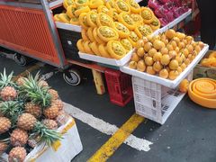 -三亚新鸿港水果一级批发市场