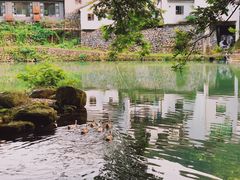 -鹿亭中村