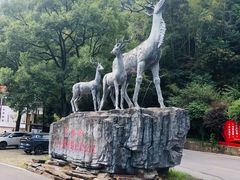 -长沙黑麋峰国家森林公园