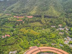 -雁南飞茶田景区