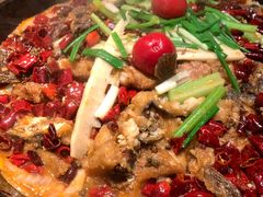 -老板恋上鱼(环山路店)