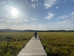 -塞罕坝国家级自然保护区