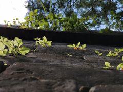 -天龙八部武侠城