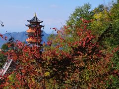 -塔云山