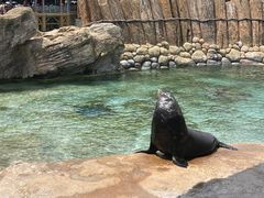 -珠海长隆海洋王国