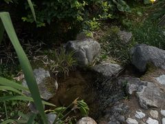 -牛背梁国家森林公园