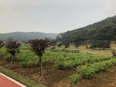 -龙寺生态园