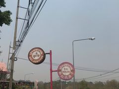 -大树秋千