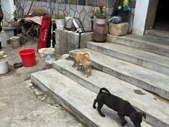-武汉姚家山旅游景区