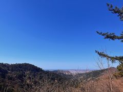 -金龙寺国家森林公园