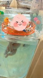 -广州安和泰医学月子会所