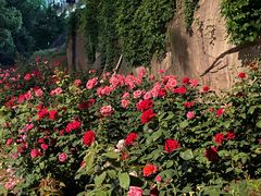 -安徽工业大学(秀山校区)