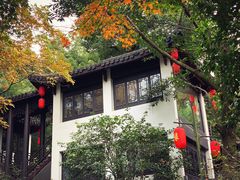 -杭州黄龙洞