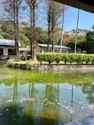 -爱帝宫月子中心(罗湖别墅院)