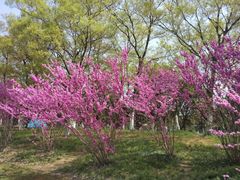 -九里河湿地公园