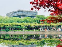 -嘉定紫藤园