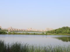 -盘龙城国家考古遗址公园