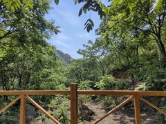 -大岭沟猕猴桃谷风景区
