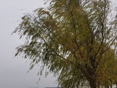 -嬉子湖生态旅游区