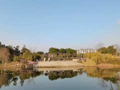 -眉山湿地公园(东坡区)