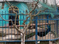 -上海滴水湖皇冠假日酒店