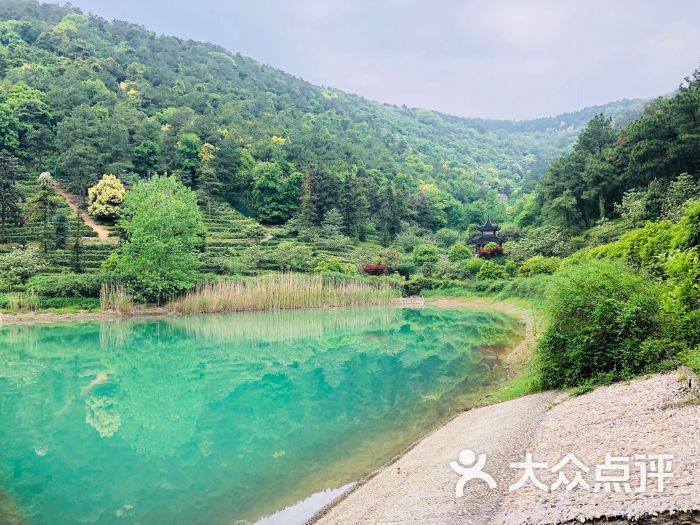 九龍潭風景區圖片 - 第5張