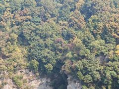 -少华山国家森林公园