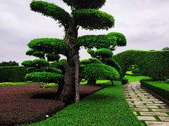 -南宁南湖公园