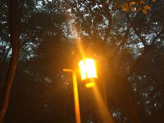 -普陀山佛顶山索道