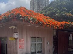 -鲤鱼塘农家山庄