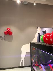 点击看大图 -可爱多国际儿童摄影会馆(龙泉店)
