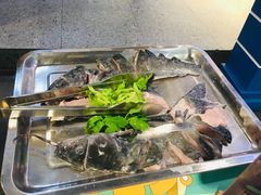 -香坝坝鲜鱼火锅(春熙路店)
