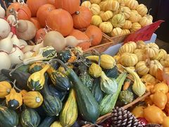 -溪岸路花鸟市场